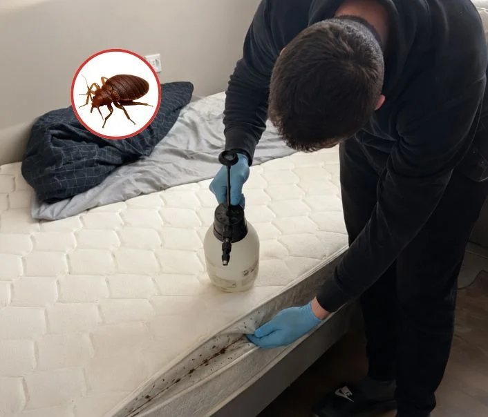 Technicien traitant un matelas contre les punaises de lit à Épinay-sur-Seine
